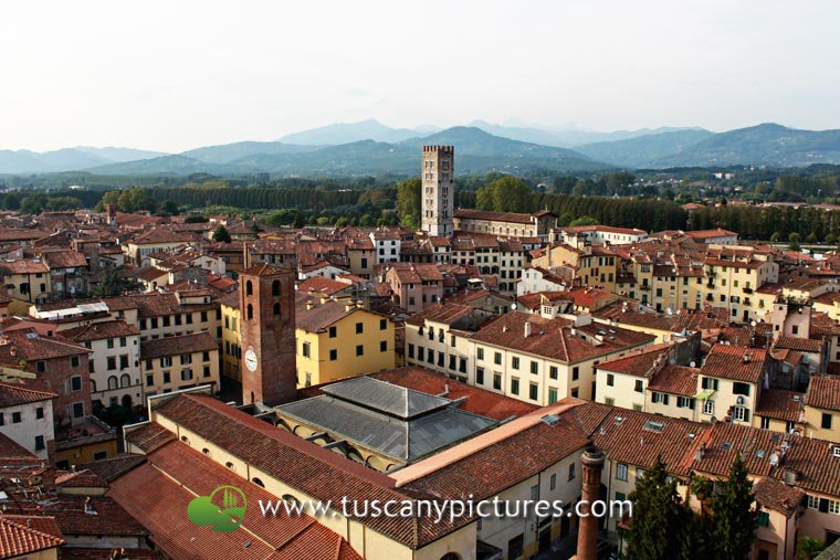 View over Lucca