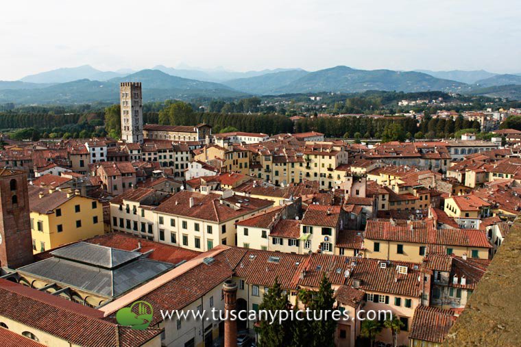 View of San Frediano