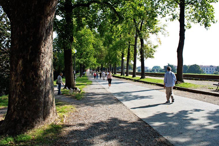 Walk along the city walls