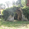 abbadia_ardenghesca05
