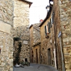 Campagnatico