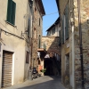 Campagnatico
