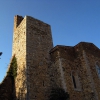 Campagnatico