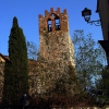 Campagnatico