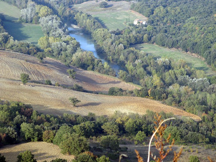 Campagnatico