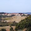 Cinigiano