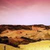 Cinigiano
