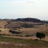 Cinigiano