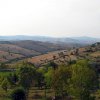 Cinigiano