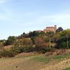 Cinigiano