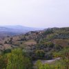 Cinigiano