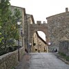 Cinigiano
