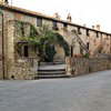 Cinigiano