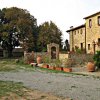 Cinigiano