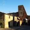 Paganico