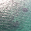 Isola del Giglio