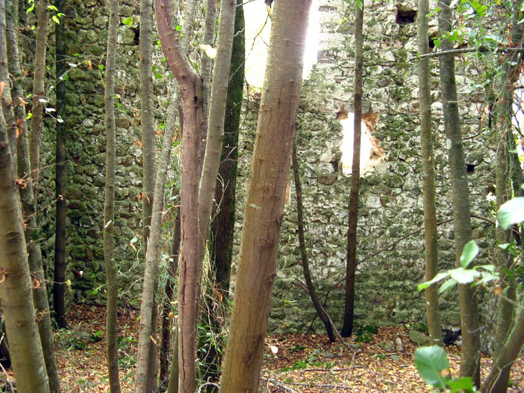 Iesa