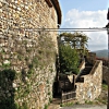 Monticiano