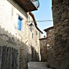 Monticiano