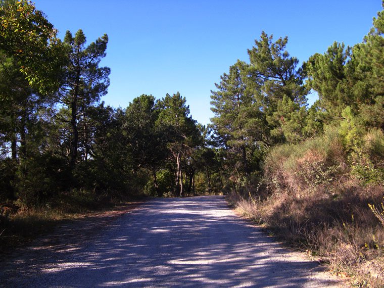 Casal di Pari