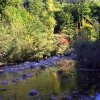 Casal di Pari