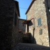 Pari