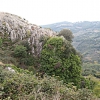 Roccatederighi