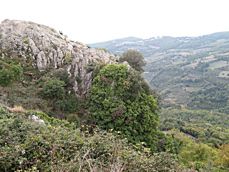 Roccatederighi