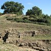Roselle Archaeological Site
