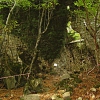 Sassoforte