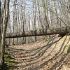 Burraie Path
