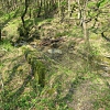 Burraie Path