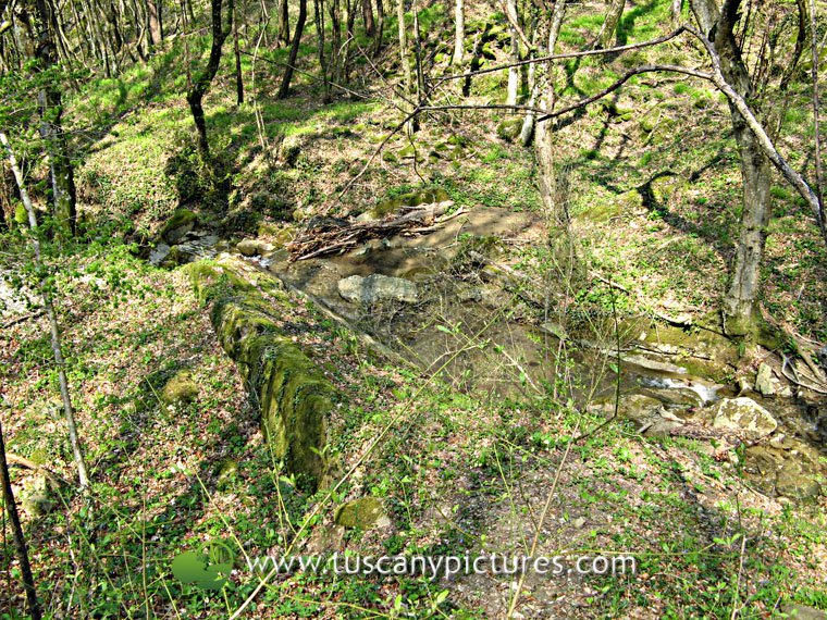 Burraie Path