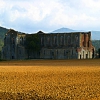 San Galgano Abbey