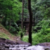 Vallembrosa