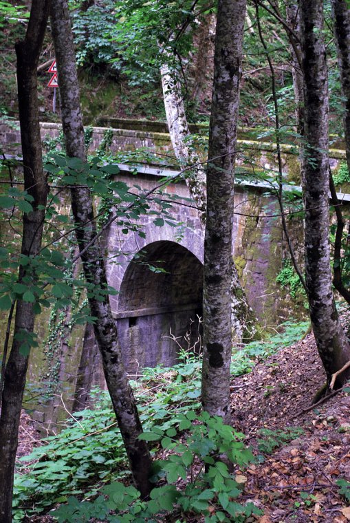 Vallombrosa