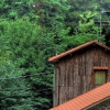 Vallombrosa