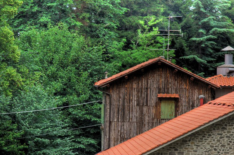Vallombrosa