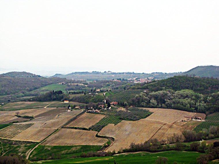 Montepulciano
