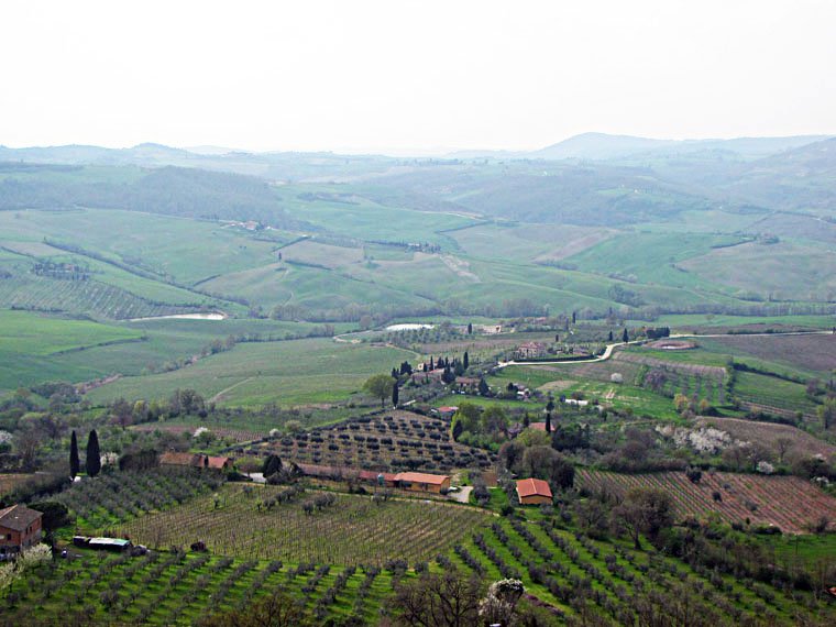 Montepulciano