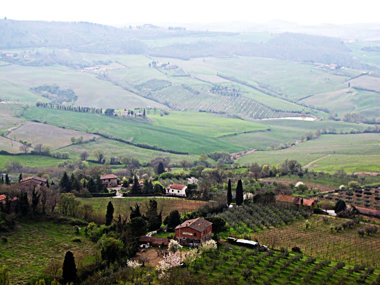Montepulciano
