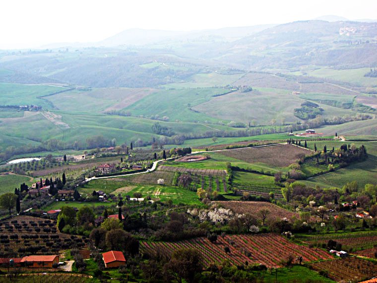 Montepulciano