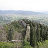 Cortona