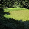 Camaldoli