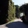 Castle of Romena
