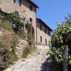 Porciano