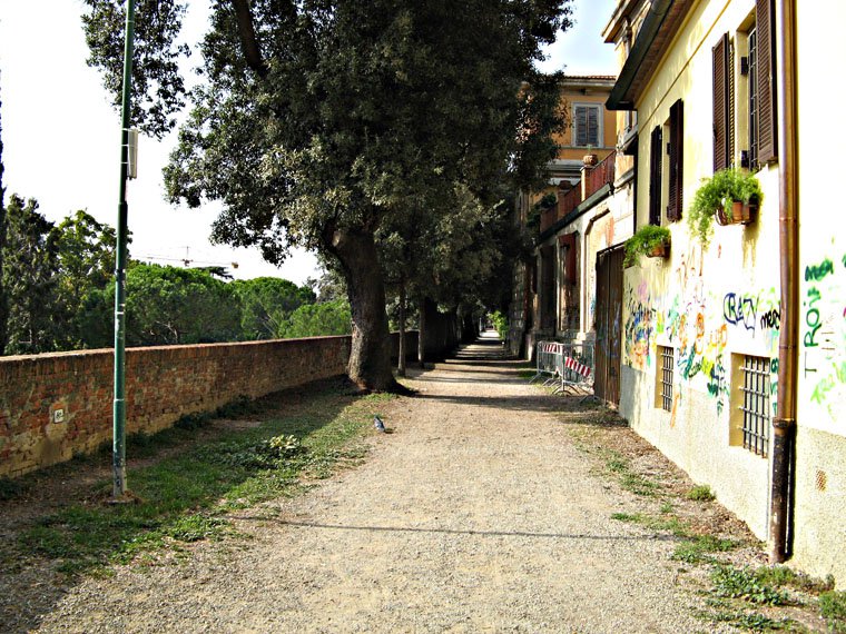 Grosseto