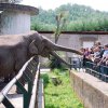 Pistoia Zoo