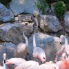 Pistoia Zoo