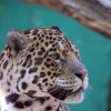 Pistoia Zoo
